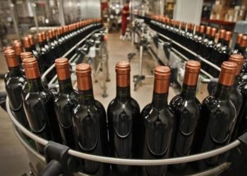 Mario Vadillo: “Sin el INV, el vino argentino pierde credibilidad y el productor chico desaparece”