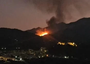 Declarado un incendio forestal en Monda (Málaga)