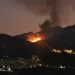 Declarado un incendio forestal en Monda (Málaga)
