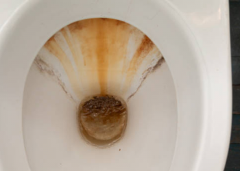 Ni vinagre, ni bicarbonato: cuál es la forma más eficaz de quitar el sarro del inodoro