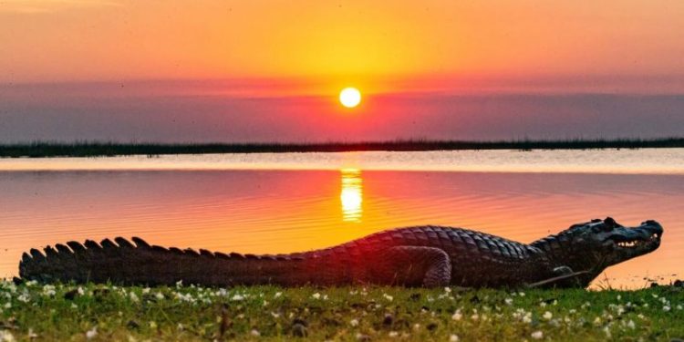 Un perfil exportador que sufre por el dólar y la caída de la construcción