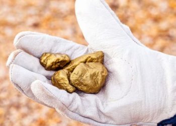 Una fortuna: el electrodoméstico que está en tu casa y tiene oro de 22 quilates