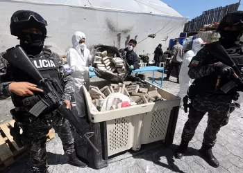 Ecuador incauta 9,3 toneladas de cocaína destinadas a Europa y detiene a 12 sospechosos