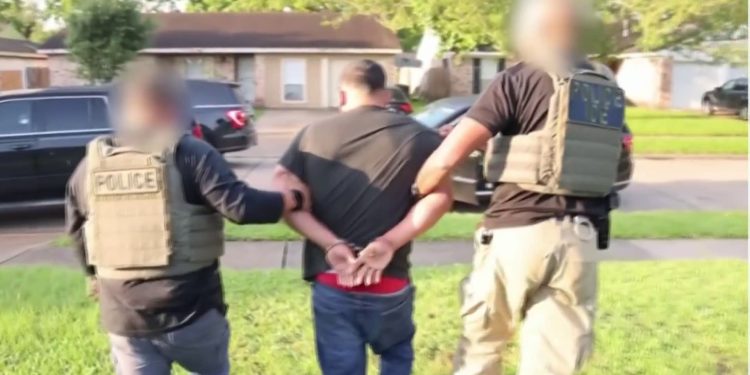 Procesos federales por drogas caen a su nivel más bajo en décadas mientras Trump redirige recursos a deportaciones