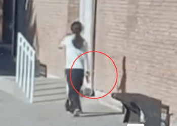 Mendoza: La adolescente de 14 años se entregó tras cinco horas de tensión armada en la escuela