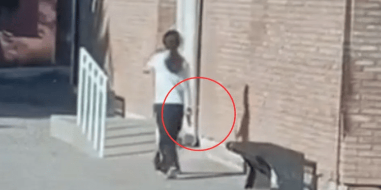 Mendoza: La adolescente de 14 años se entregó tras cinco horas de tensión armada en la escuela