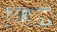 Retenciones 0%: La Rural duda sobre el ingreso de u$s 7000 millones que anunció el Gobierno