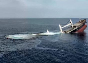 Hutíes lanzan misil contra barco Holandes y lo hunden cerca de Aden