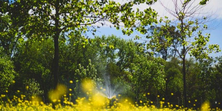 Reabren un parque clave del Conurbano, donde podés pasar un fin de semana en familia y es totalmente gratis