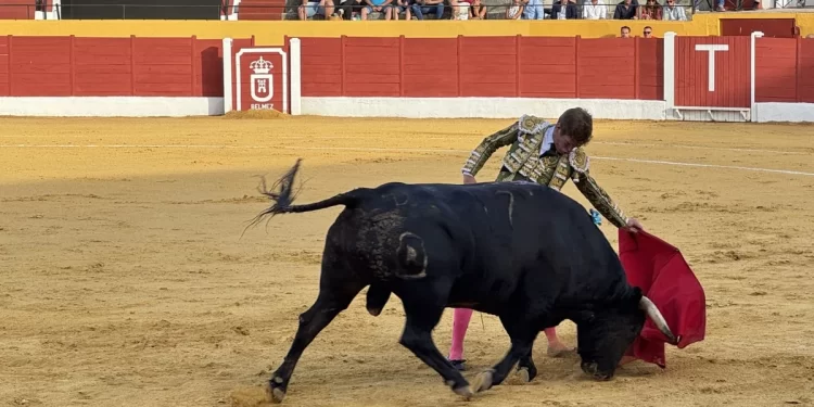 Tres orejas para Jiménez en Belmez mientras Castella y Román se van de vacío
