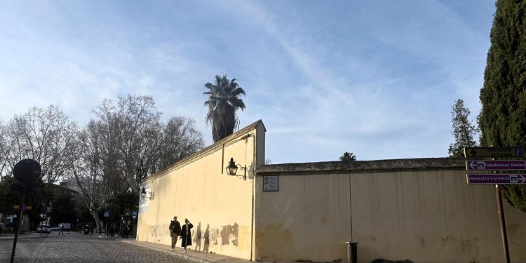 Córdoba: el Ayuntamiento iniciará la obra del nuevo jardín de Campo Santo de los Mártires. Cuando comenzará