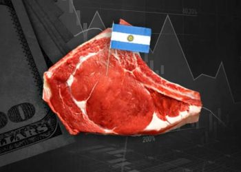 Estados Unidos cuadruplica la compra de carne argentina que aportarán dólares reales. ¿Precios internos?