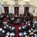 Nuevo Senado nacional: distribución y nombres de los legisladores que asumirán el 10 de diciembre