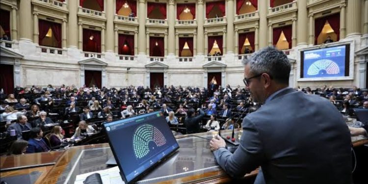 Diputados rechazó los vetos presidenciales y asestó un nuevo golpe político al Gobierno