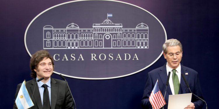 Salvavidas y Desilusiones