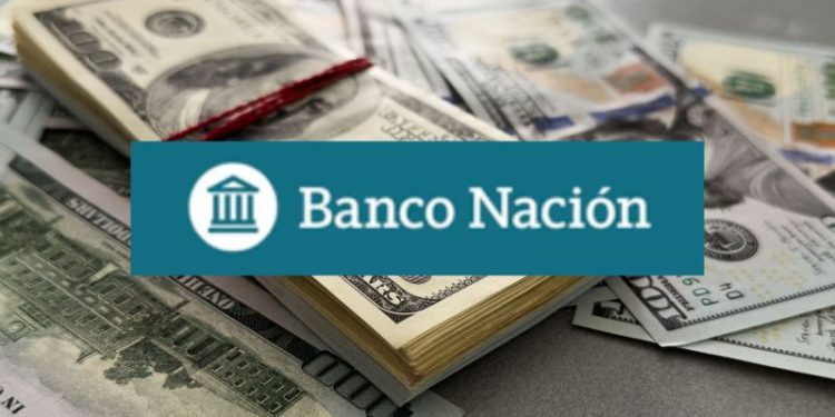 Dólar hoy: a cuánto cotiza en el Banco Nación este miércoles 29 de octubre