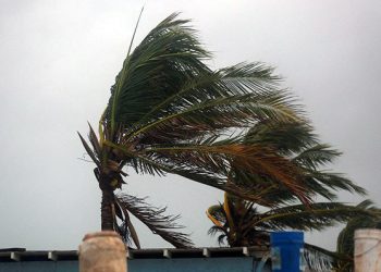 Esperan una catástrofe: Huracán Melissa amenaza a Jamaica con vientos de 260 km/h y marejadas devastadoras. -Video-