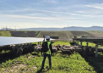 La fotovoltaica se posiciona como ventaja competitiva, motor de industrialización y garante de la seguridad energética en el XII Foro Solar