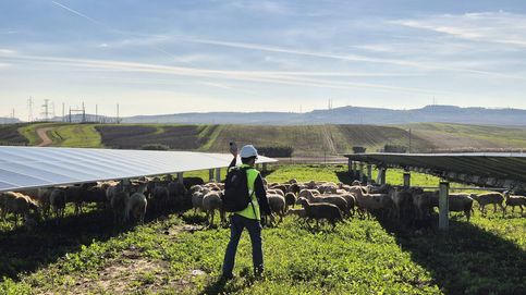 La fotovoltaica se posiciona como ventaja competitiva, motor de industrialización y garante de la seguridad energética en el XII Foro Solar