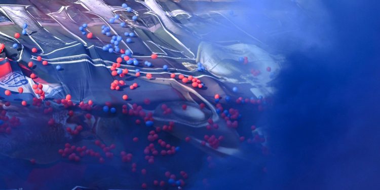 Se vence el plazo de la Justicia por el pedido de quiebra que pesa sobre San Lorenzo