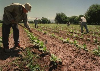 UATRE: con aumento y escala salarial definida, cuánto cobro en septiembre, octubre y noviembre 2025