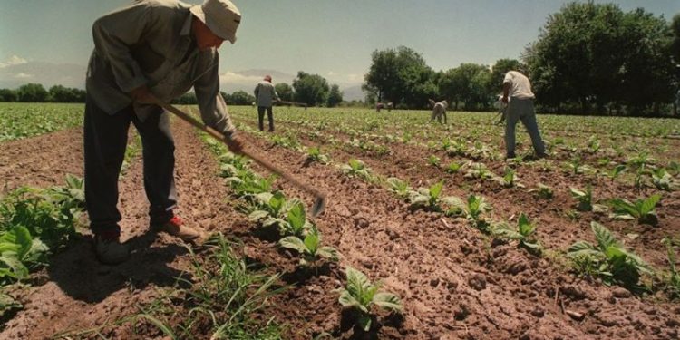 UATRE: con aumento y escala salarial definida, cuánto cobro en septiembre, octubre y noviembre 2025