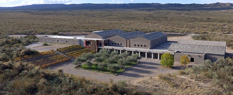 Un ex ministro de Alberto Fernández compró una bodega boutique en Mendoza: de quién se trata