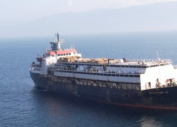 Fallida exportación de ganado en pie de Uruguay a Turquía esta produciendo la agónica muerte de las vacas y terneros nacidos a bordo