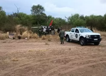 Cerca de la avioneta caida en Salta con 140 kilos de cocaína se encontraron 228 kilos más.