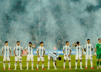 El año de la Selección: nueve partidos, clasificación al Mundial y una Scaloneta que no afloja