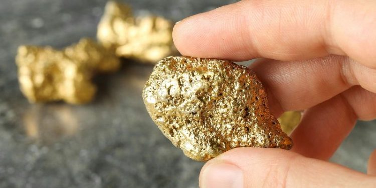 ¿El fin de la pobreza?: encuentran una planta que produce oro puro y se puede cultivar en todas las casas