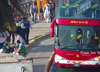 Tragedia en la Copa Libertadores: un hincha de Palmeiras murió tras caer de un micro