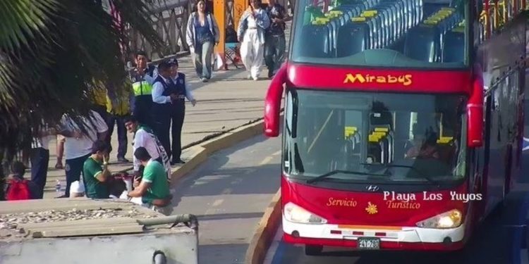 Tragedia en la Copa Libertadores: un hincha de Palmeiras murió tras caer de un micro