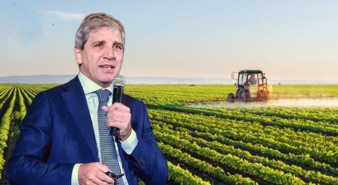 Positivo: Gobierno avanza con una nueva baja de retenciones para impulsar al sector agroexportador