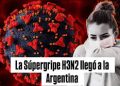 La “supergripe” H3N2 K circula en el país desde octubre sin provocar un brote fuera de los parámetros habituales. Cómo enfrentarla.