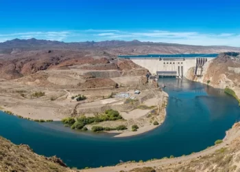 Privatización en el Comahue: el Gobierno preadjudica centrales a Central Puerto, Edison y BML