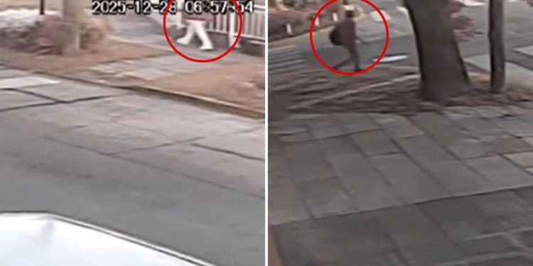 La Matanza: buscan a un hombre que degolló a una mujer en la vía pública