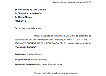 El nuevo bloque en Diputados que tendrá como protagonista a la mendocina Verasay