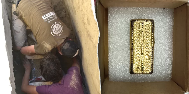 Hallan en Hungría la tumba de un guerrero ávaro de alto rango de 1.300 años de antigüedad y con extraño armamento