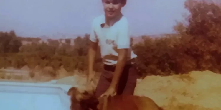 Los políticos andaluces reviven el espíritu de la Navidad