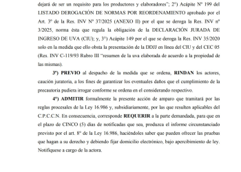 La “desregulación” que divide las aguas entre el ‘cornejismo’ y el ‘mileismo’