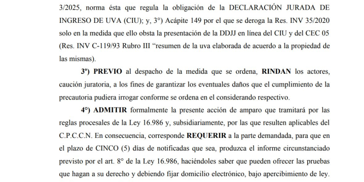 La “desregulación” que divide las aguas entre el ‘cornejismo’ y el ‘mileismo’