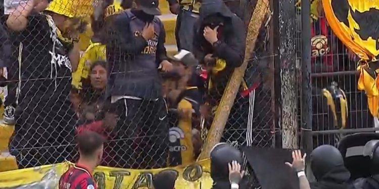 La sanción a Deportivo Madryn por los incidentes en la final: multa mínima