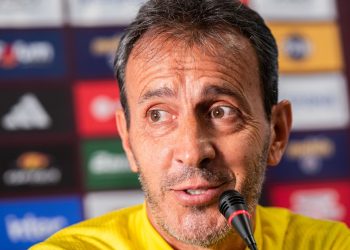 La selección que busca al Bocha Batista para comandar un proyecto a largo plazo