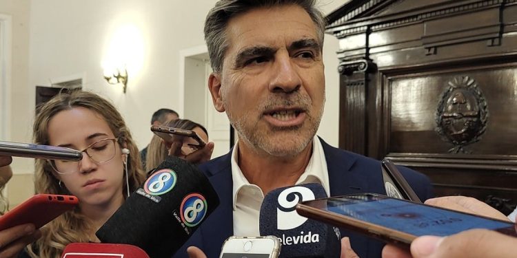 Mario Vadillo culpó al gobierno de Mendoza por la sobrepoblación de perros callejeros