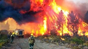 Positivo II: Tras más de dos semanas de incendios descontrolados, el Gobierno girará $100.000 millones a Bomberos Voluntarios en la Patagonia