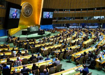 Elección clave en la ONU: una diplomática argentina emerge como alternativa al candidato respaldado por Milei
