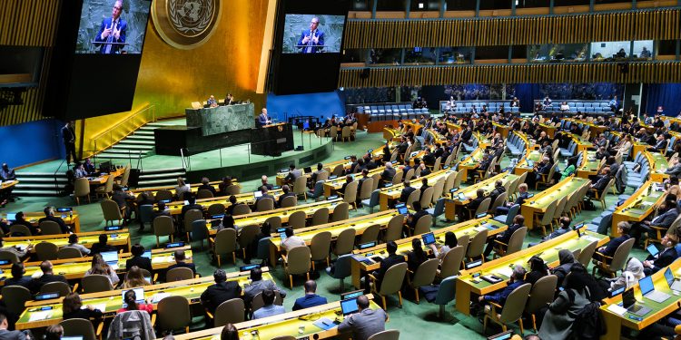 Elección clave en la ONU: una diplomática argentina emerge como alternativa al candidato respaldado por Milei