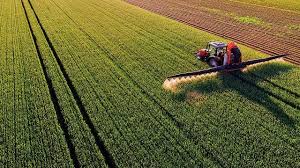 Argentina proyecta una cosecha récord de granos para 2025/26 y anticipa exportaciones por casi US$ 37.000 millones