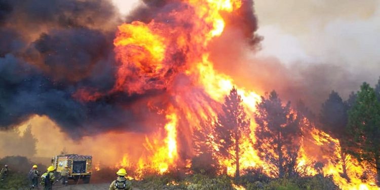 La mesa política define sesiones extraordinarias y evalúa sumar la emergencia por incendios al temario tras pedido de gobernadores